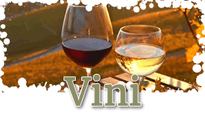 Scopri i nostri vini